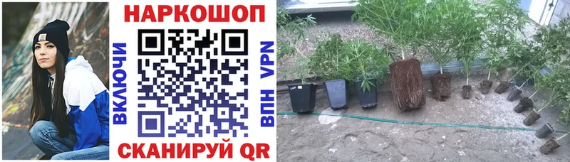 Купить APVP  Мефедрон  АМФЕТАМИН  БУТИРАТ  COCAIN  Зима