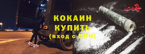 индика Семикаракорск