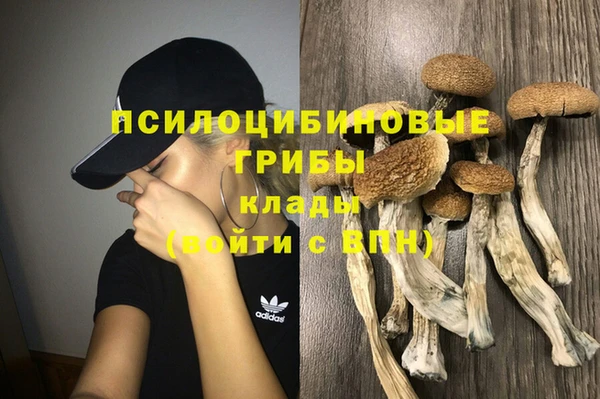 Альфа ПВП Семёнов