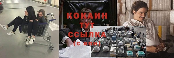 индика Семикаракорск
