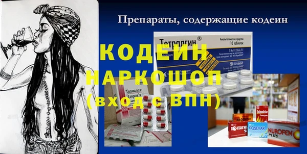 индика Семикаракорск