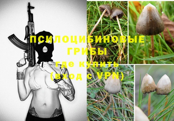 прущие крисы Семилуки
