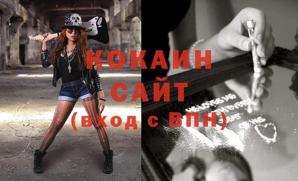 индика Семикаракорск