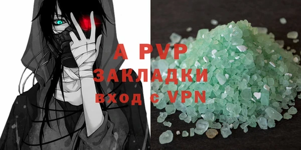 индика Семикаракорск