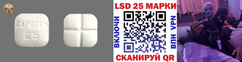 Купить где  Зима  ЛСД экстази ecstasy 