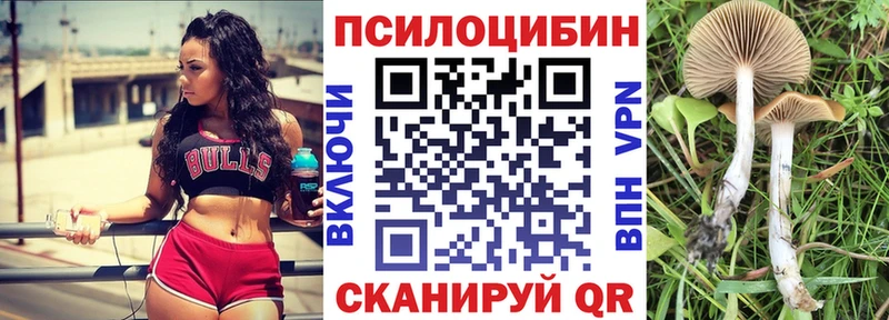 Купить где  Зима  Галлюциногенные грибы мицелий 
