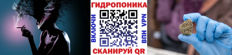 Купить  Зима  Конопля марихуана 